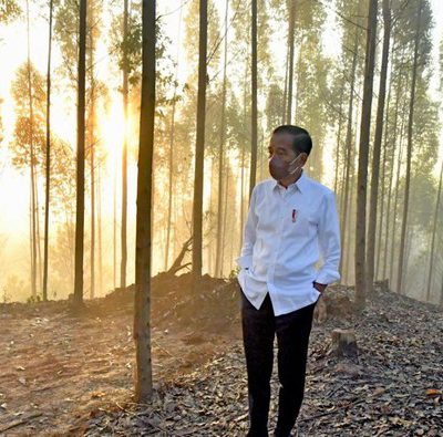 Jokowi Alokasi 697 Ha Lahan di IKN Buat Kawasan Industri